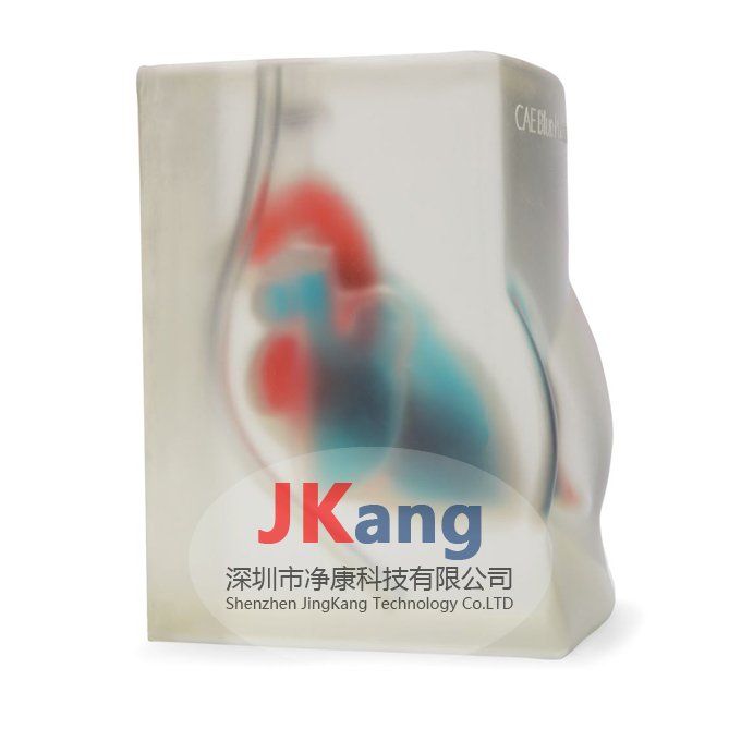 CAE Blue Phantom心臟回聲超聲訓練模體,BPH700心臟超聲訓練模體