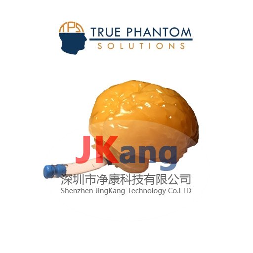 Truephantom BN-A01標(biāo)準(zhǔn)成人腦模體,適用于CT、MRI、超聲