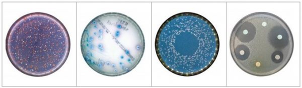 SCAN500菌落計數(shù)器，SCAN500自動菌落計數(shù)器，Interscience菌落計數(shù)器