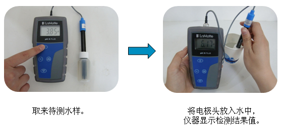 LaMotte pHPlus酸度計